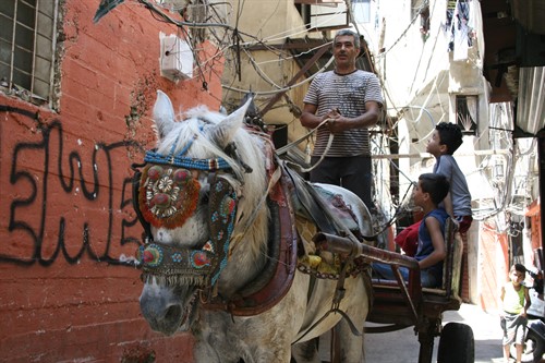 Libanon, Šatíla: Někteří místní používají koně jako dopravní prostředek (I.Polochova / MSF)