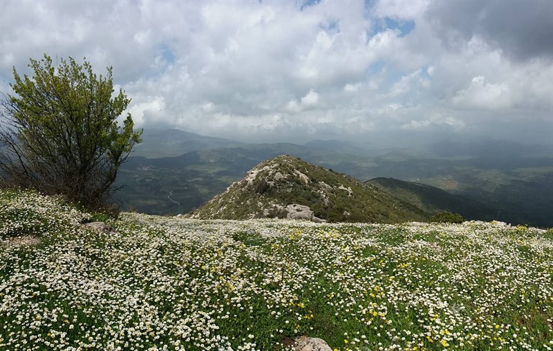 Petra Šancová poslala moc pěkný snímek jara na hoře Ithomi na Peloponézu