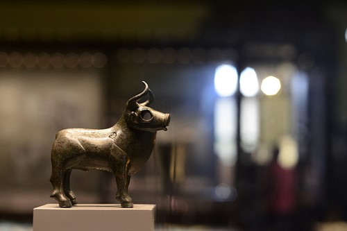 Slavný Býček, podle něhož je pojmenována Býčí skála v Moravském krasu, je vystaven v Přírodovědném muzeu