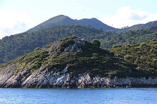 Ostrov Mljet je nejzalesněnějším jadranským ostrovem, lesy pokrývají 72 % jeho plochy