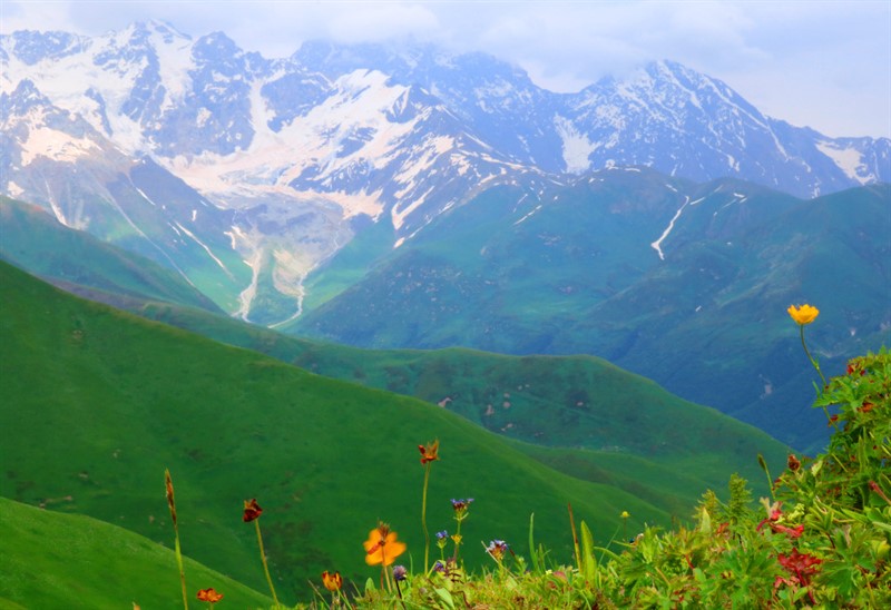 Na jaře rozkvetou svahy Kavkazu až do nadmořské výšky kolem 2600 metrů záplavou divokých květů
