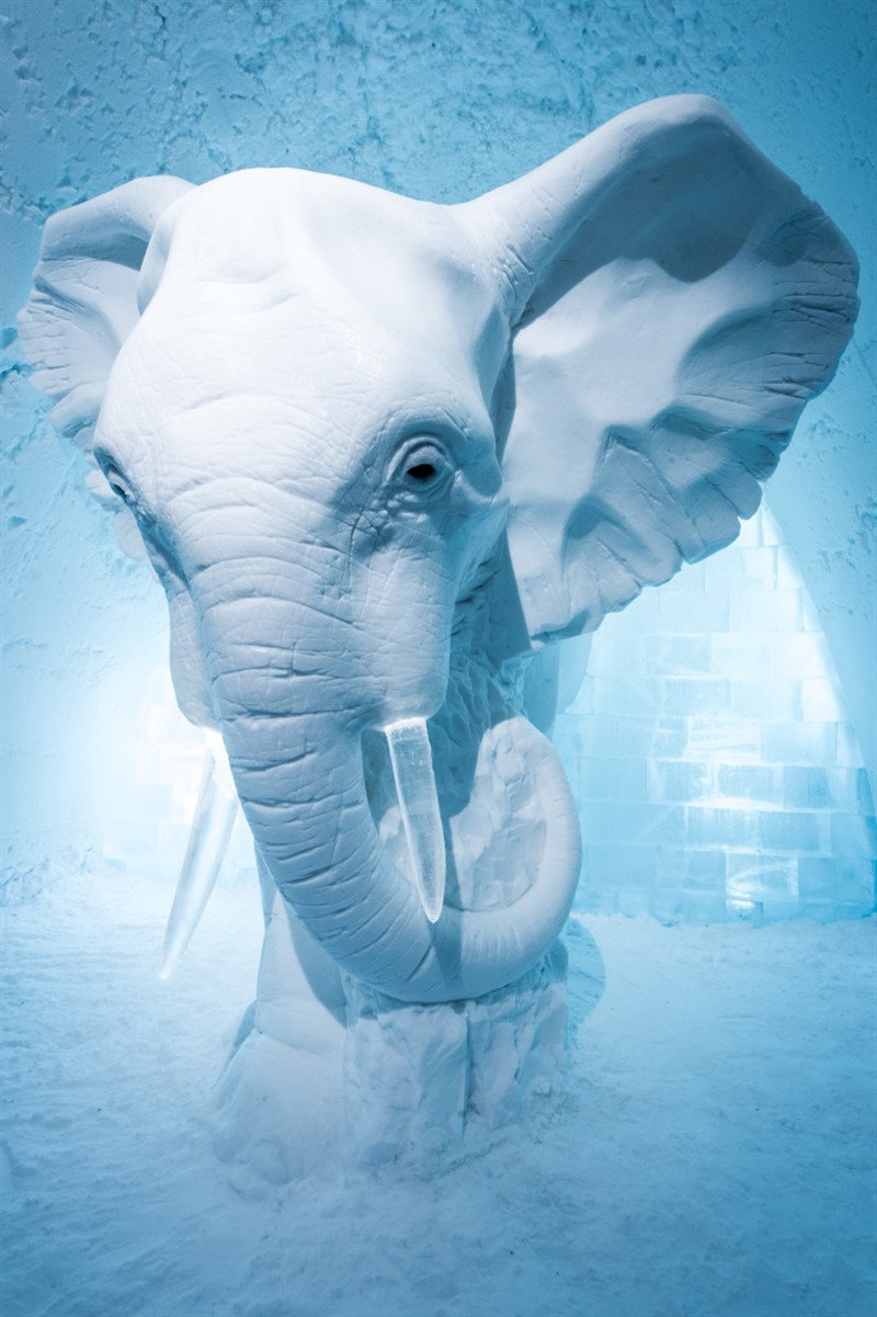 "Elephant in the Room" - třímetrového afrického slona navrhla švédská sochařka Anna Sofia Maag. 