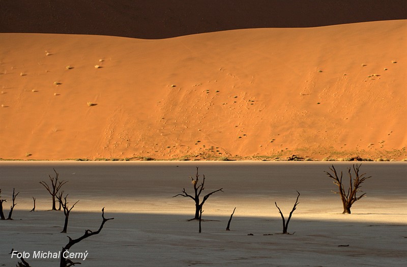 Snad nejfotografovanějším pouštním místem na světě jsou duny a uschlé stromy v údolí Sossusvlei v namibské poušti.
