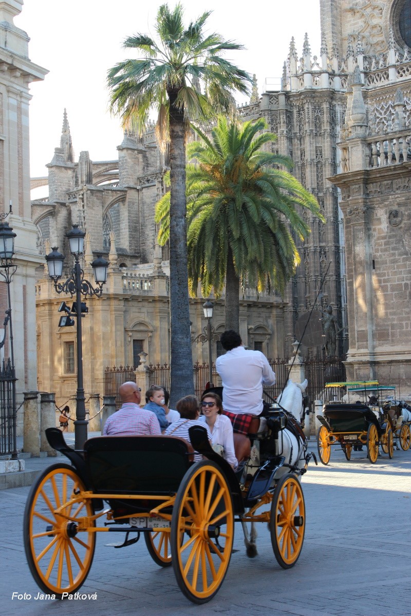 A ještě jednou katedrála jako připomínka největší slávy Sevilly