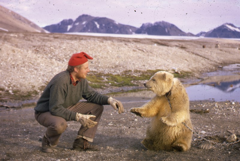 Thor Heyerdahl jr. je mimo jiné expert na pohyb ledních medvědů