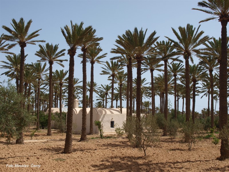 Tuniská Džerba - střed ostrova
