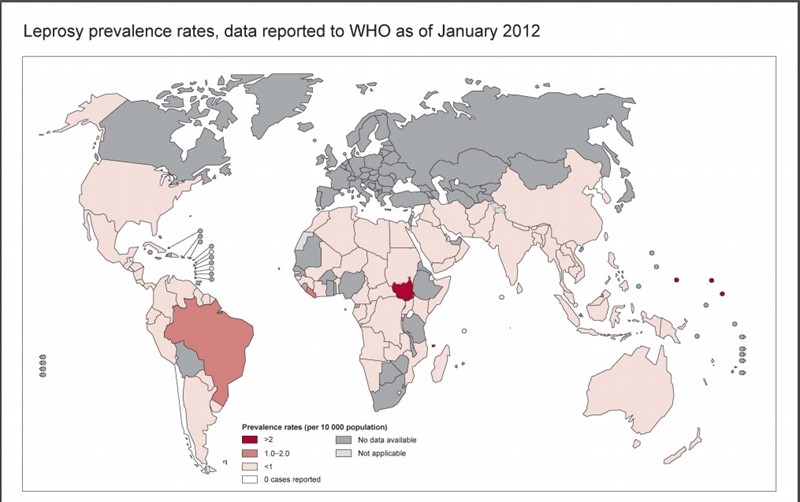 Mapa rozšíření lepry v roce 2012 | www.who.int