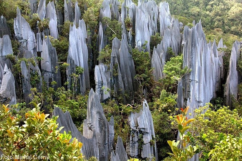 Bizarní vápencové formace, takzvané Pinnacels, ční z pralesa na svazích hory Api do výšky až kolem 40 metrů
