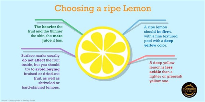 Jak vybrat správný citrón, analogicky lze rady použít i pro ostatní citrusové plody. Good luck! | www.turkishcitrus.com