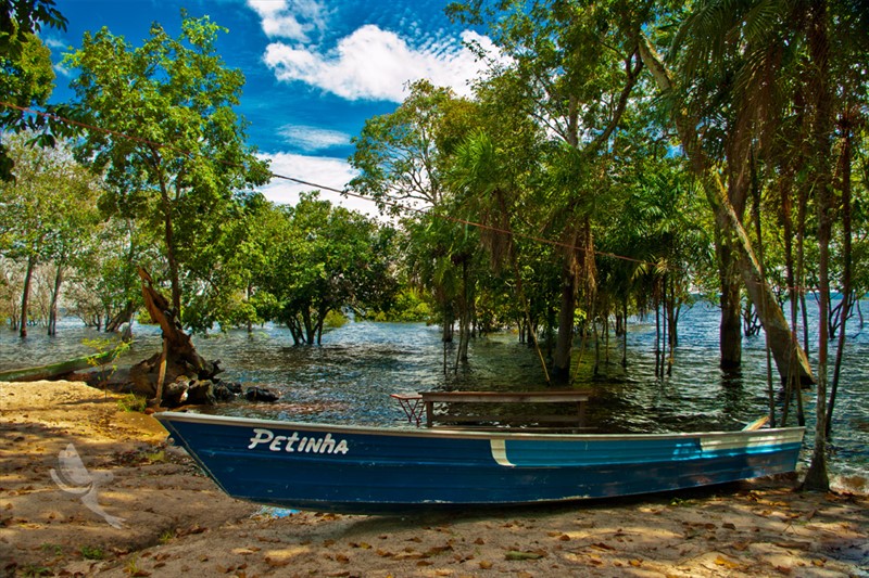 Mnoho domov v džungli má svoj prístav, čln je pre obyvateľov nesmierne dôležitý.