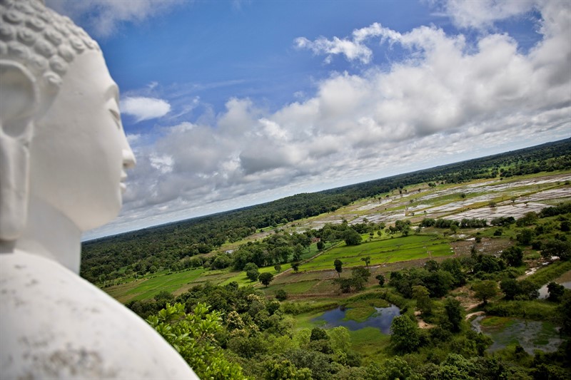 Buddha dohlíží na rýžová pole v údolí