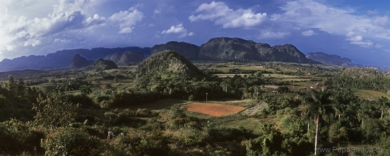 Viñales. Oblast vápencových homolí, nejlepšího doutníkového tabáku světa a primitivního zemědělství (Cordillera de Guaniguanico)