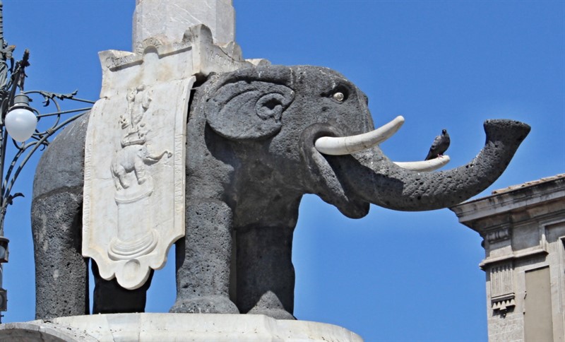 Symbol města - slon - vévodí kašně uprostřed Piazza del Dumo (foto J. Patková)