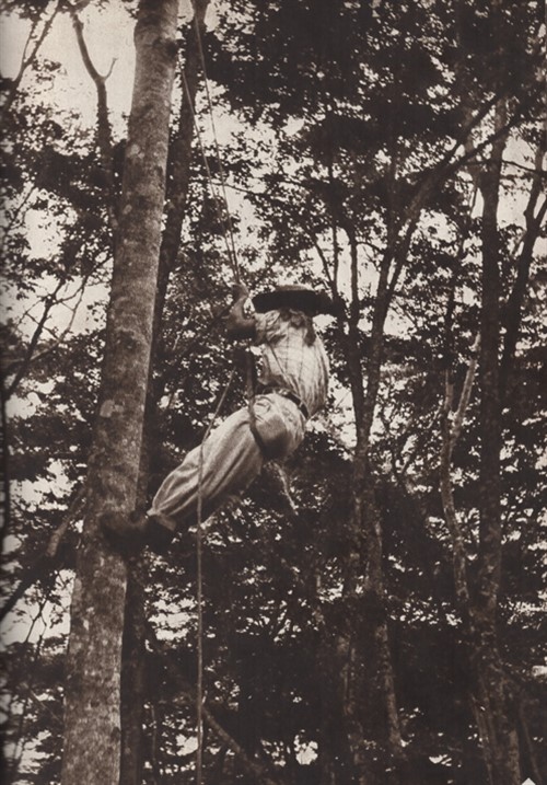 I způsob, jak vylézt na strom se po staletí nezměnil. | Foto: Muzeum jihovýchodní Moravy Zlín, Archiv H+Z, autor: Jiří Hanzelka a Miroslav Zikmund
