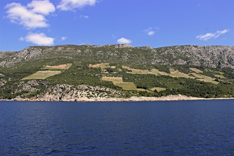 Skalnatý Pelješac s pásem vinic nad mořem