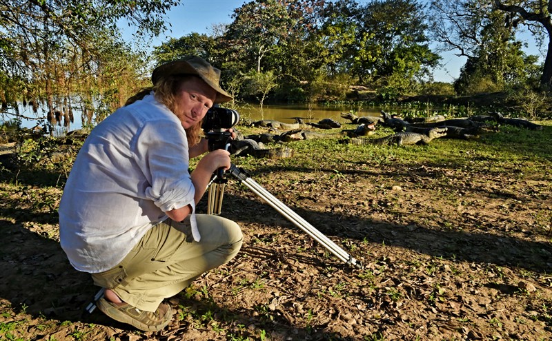 Kajmani jsou v Pantanalu všude. Jen čekám, kdy mě nějaký kousne do zadku