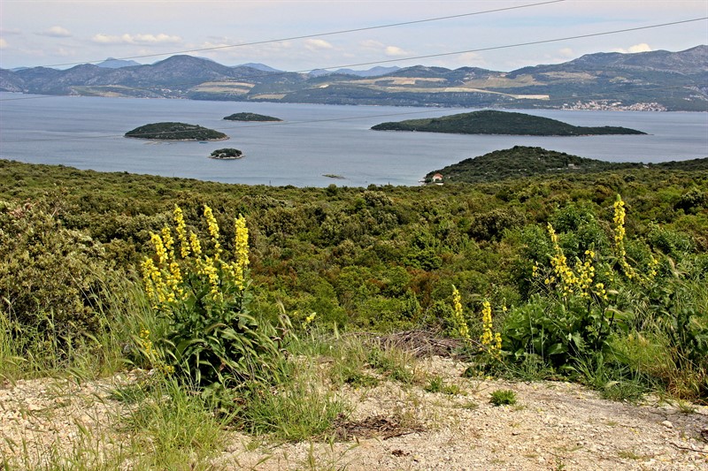 Pohled ze severního úbočí Pelješce směrem k bosenskému pobřeží