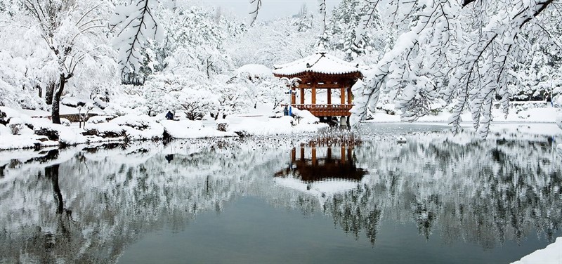 Asijská kultura v korejské zimě (foto Visit Korea)