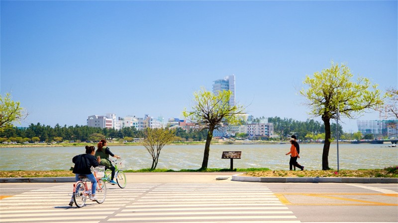 Jezerní promenáda kolem jezera Gyengpoho (Foto Visit Korea)